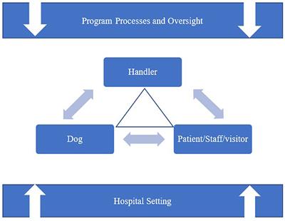 Canine-Assisted Interventions in Hospitals: Best Practices for Maximizing Human and Canine Safety